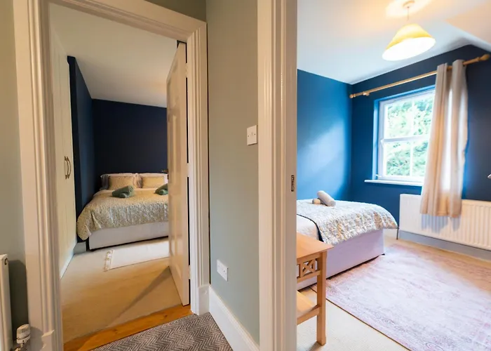 Dingle Townside Nest