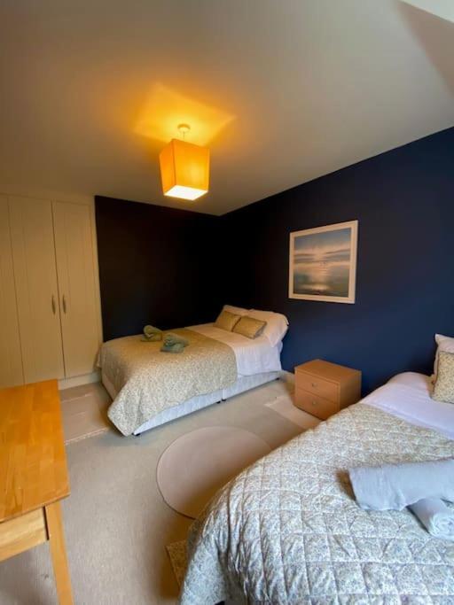 Townside Nest