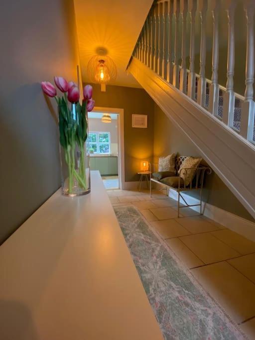 Townside Nest Dingle