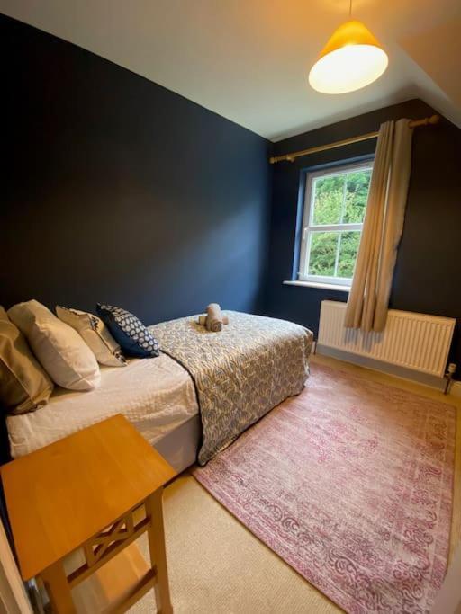 Townside Nest Dingle